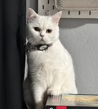 Seyahat fotoğrafı 11