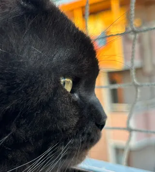 Seyahat fotoğrafı 13